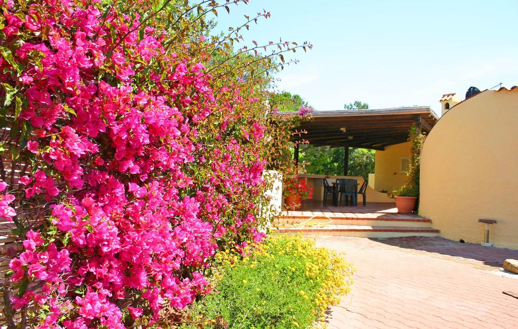 פאלאו Ahr Altura Hotel Porto Rafael חדר תמונה