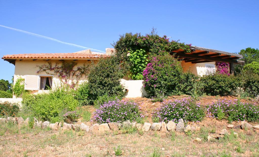 פאלאו Ahr Altura Hotel Porto Rafael חדר תמונה